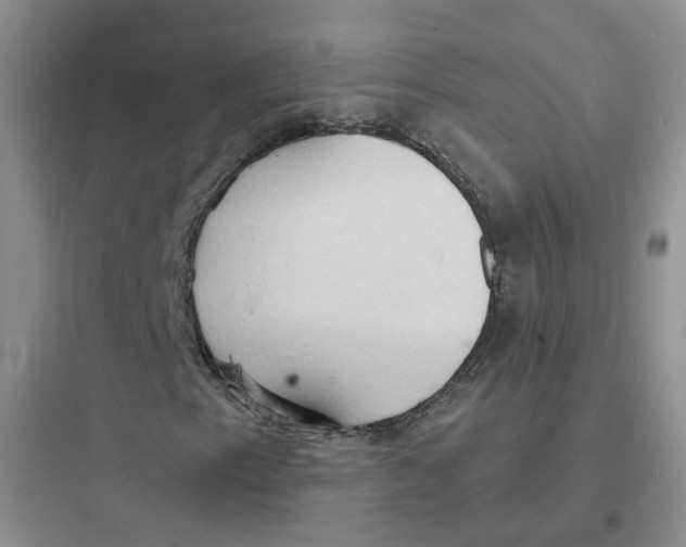 X0000097671153200803211936