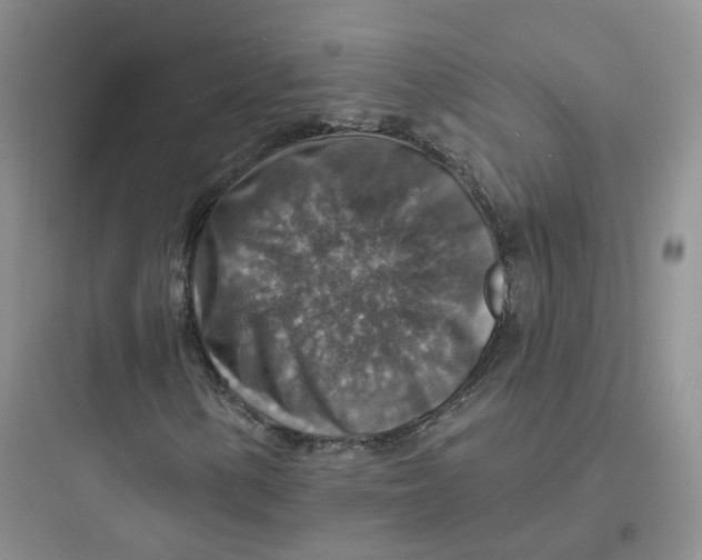 X0000097671154200803211936