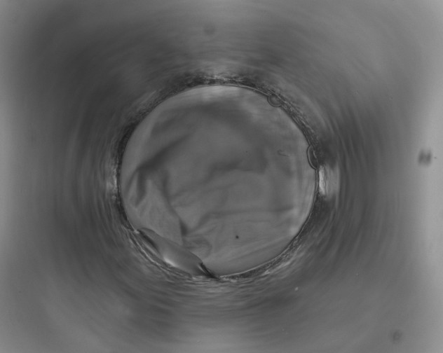 X0000097671155200803211936