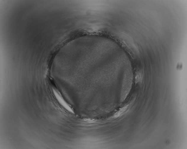 X0000097671156200803211936