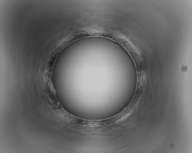 X0000097671157200803211936