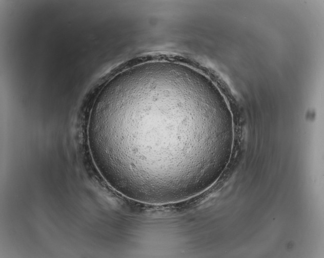 X0000097671159200803211936