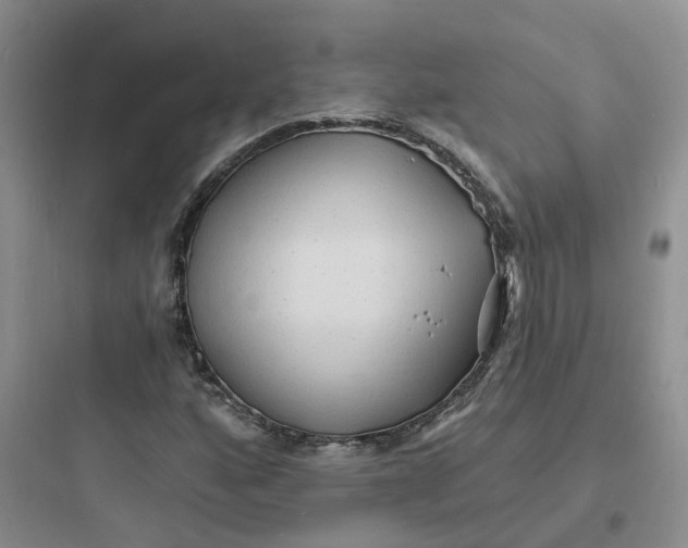 X0000097671160200803211936