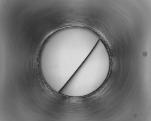 X0000097671163200803211936