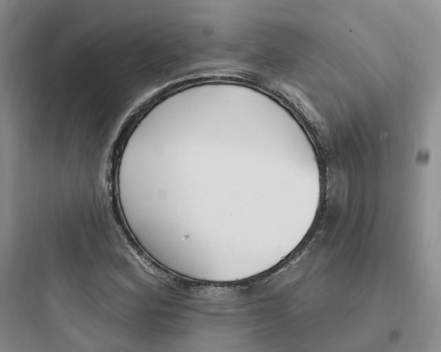 X0000097671164200803211936