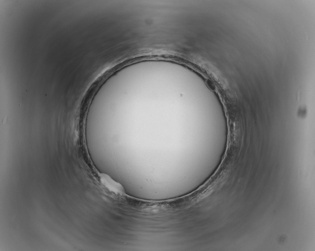 X0000097671165200803211936