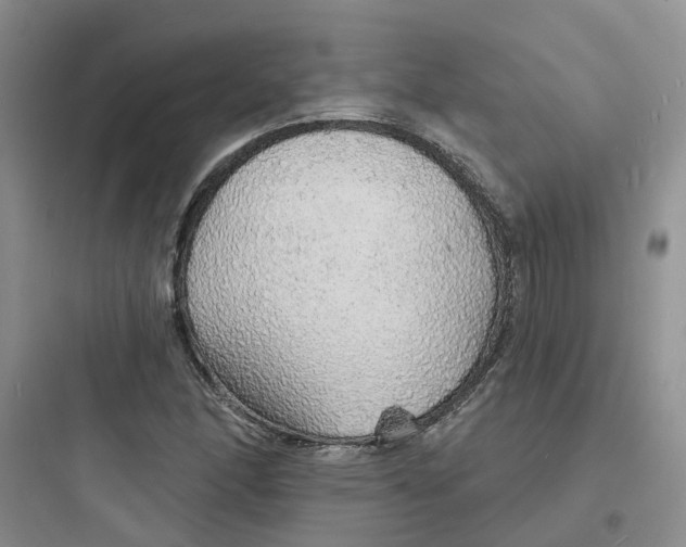 X0000097671166200803211936