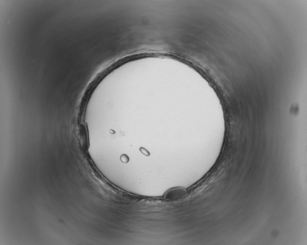 X0000097671168200803211936