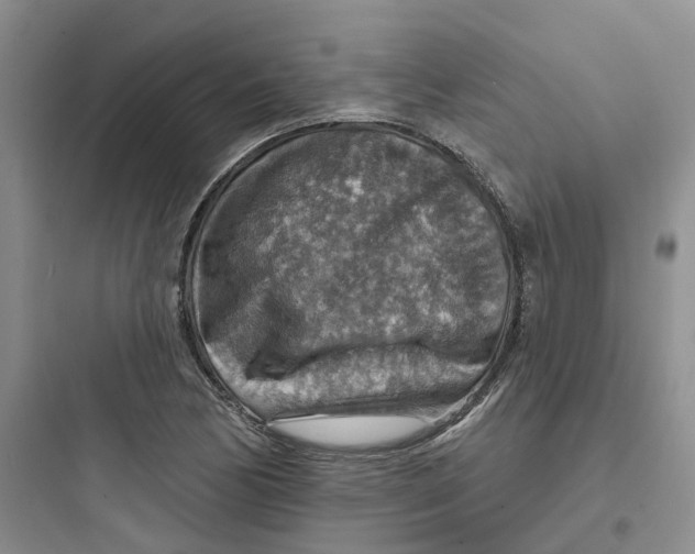 X0000097671170200803211936