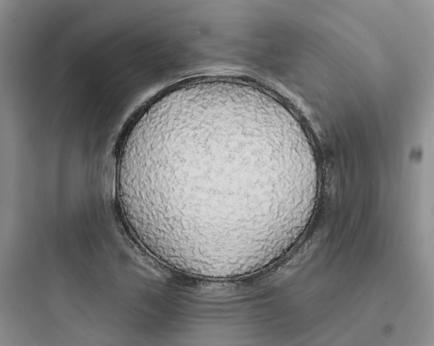 X0000097671171200803211936