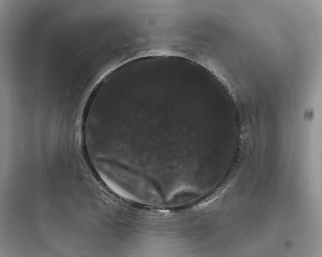 X0000097671173200803211936