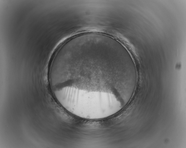 X0000097671174200803211936