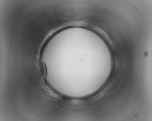 X0000097671176200803211936