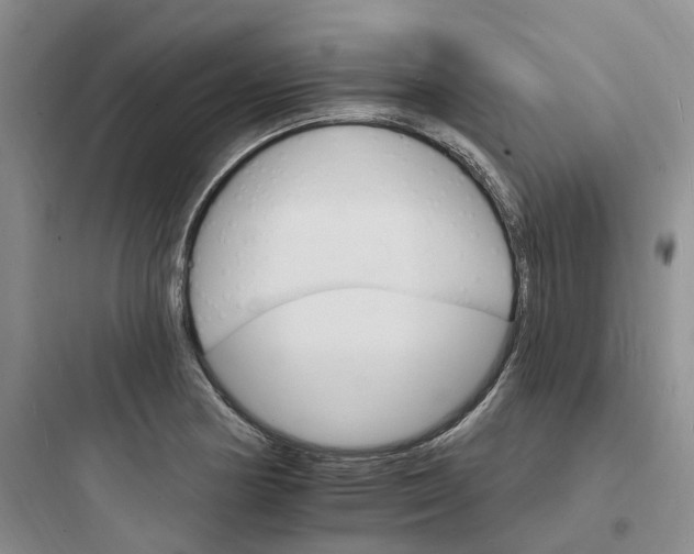 X0000097671178200803211936