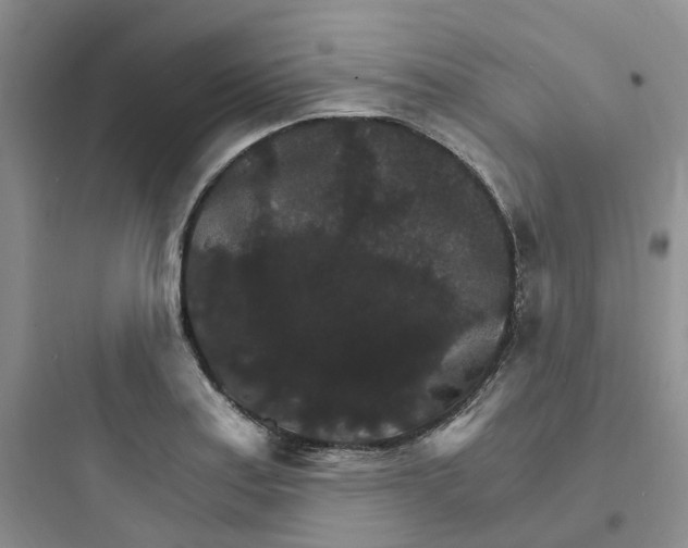 X0000097671179200803211936