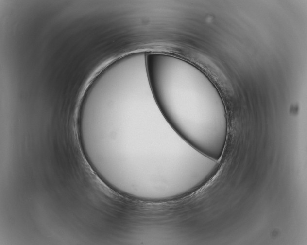 X0000097671180200803211936