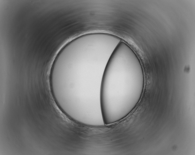 X0000097671181200803211936