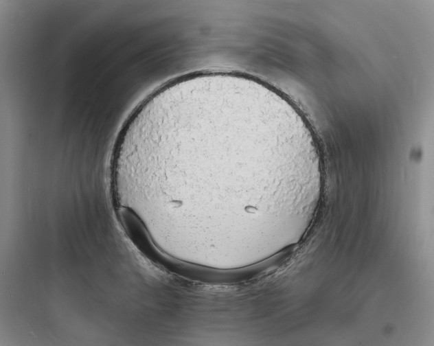 X0000097671183200803211936