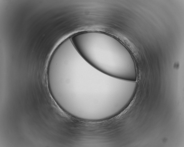 X0000097671184200803211936