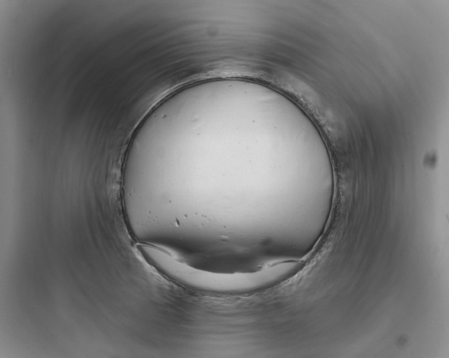 X0000097671185200803211936