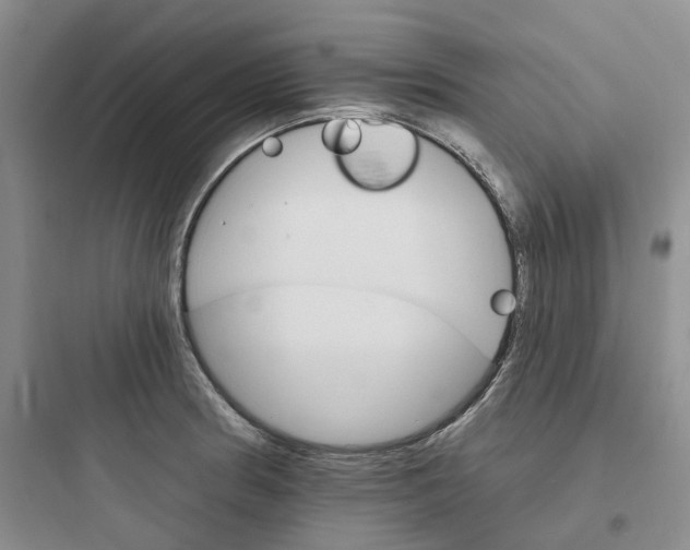 X0000097671186200803211936