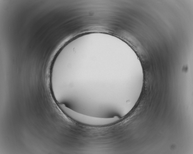 X0000097671188200803211935