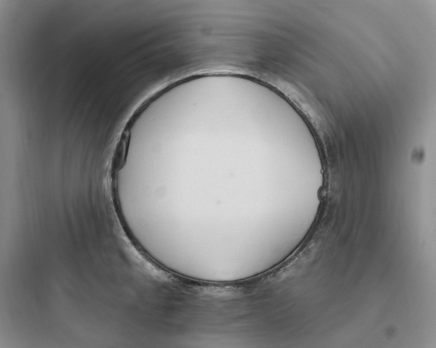 X0000097671189200803211935