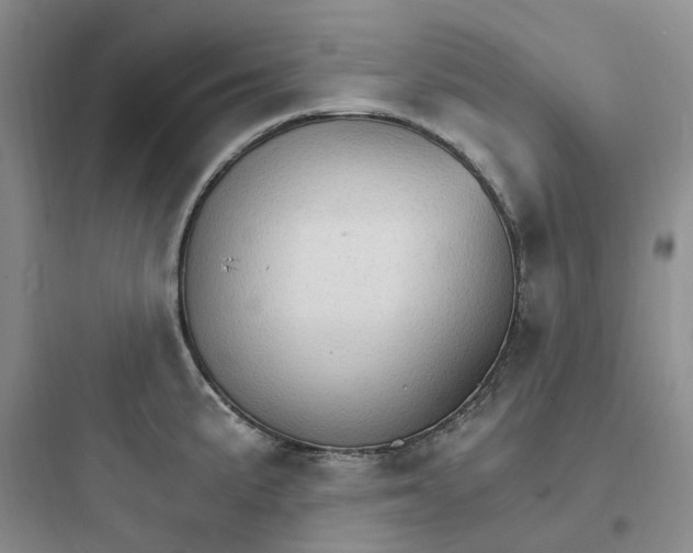 X0000097671191200803211935