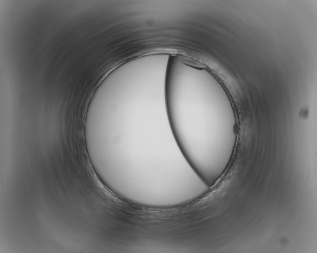 X0000097671193200803211935