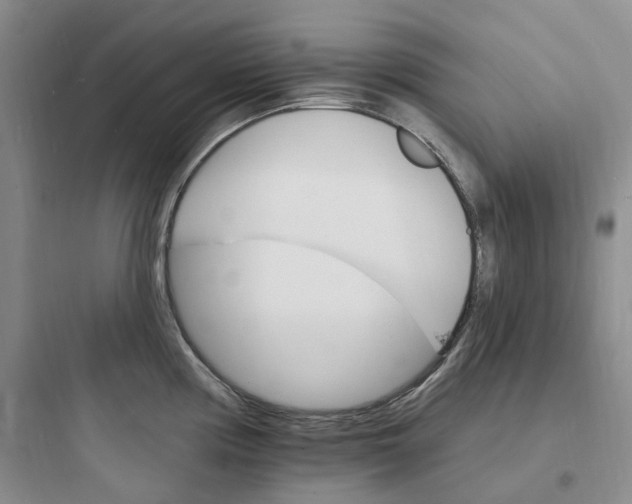 X0000097671194200803211935