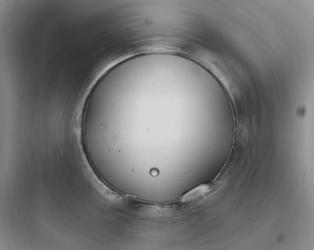 X0000097671195200803211935