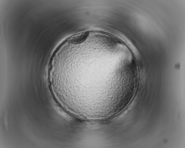 X0000097671198200803211935