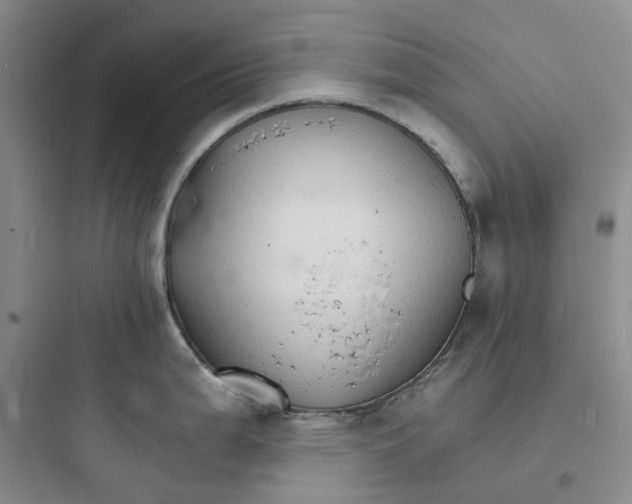 X0000097671199200803211935