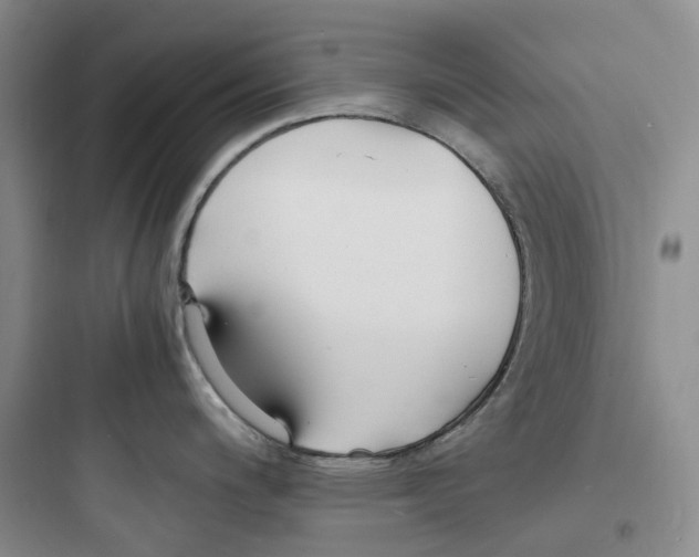 X0000097671200200803211935