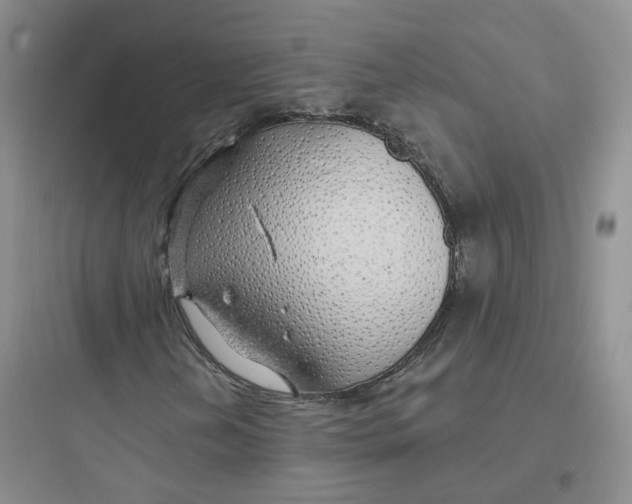 X0000097671202200803211935