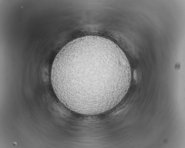 X0000097671203200803211935