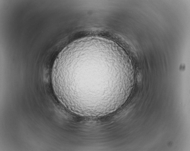 X0000097671204200803211935