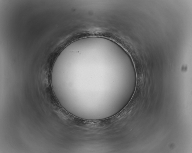 X0000097671205200803211935