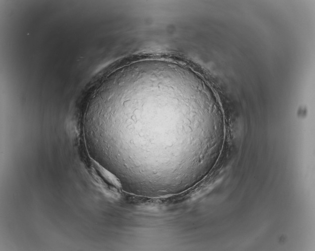 X0000097671206200803211935