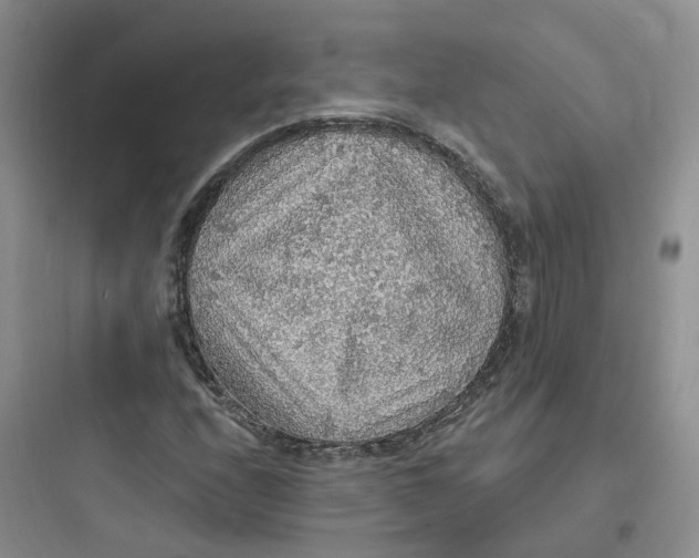 X0000097671208200803211935