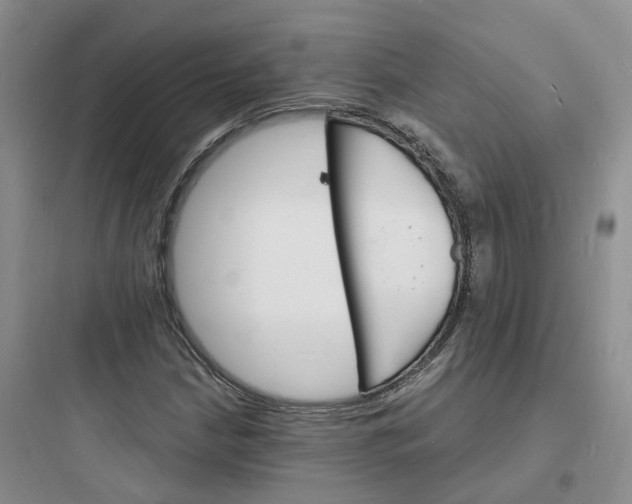 X0000097671210200803211935