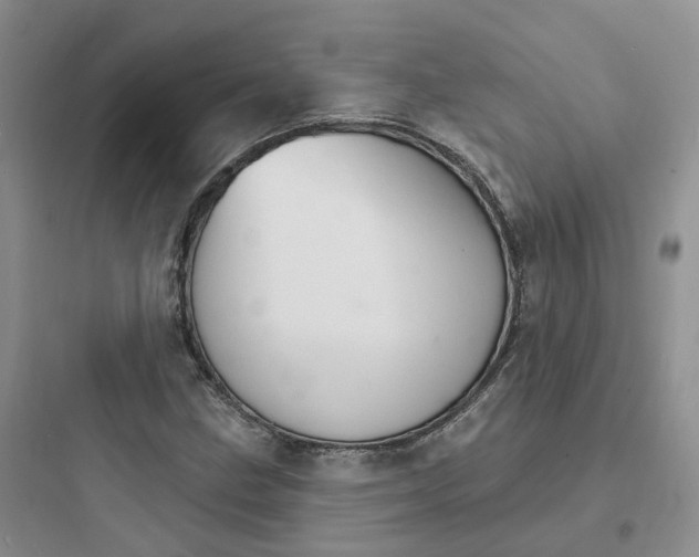 X0000097671211200803211935