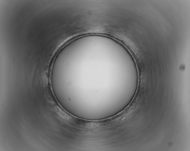 X0000097671212200803211935