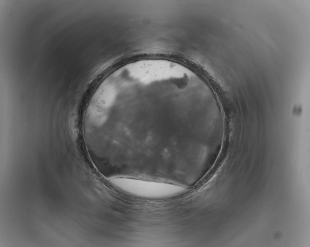 X0000097671213200803211935