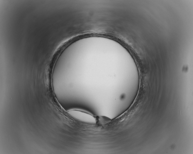 X0000097671214200803211935