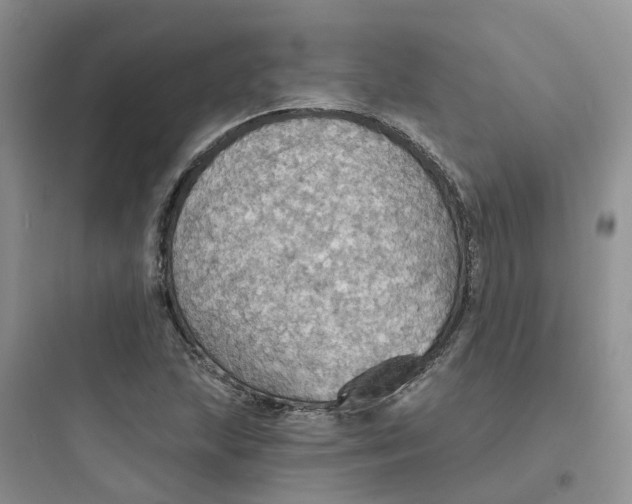 X0000097671215200803211935