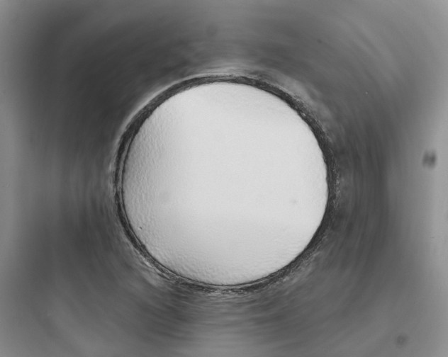 X0000097671216200803211935