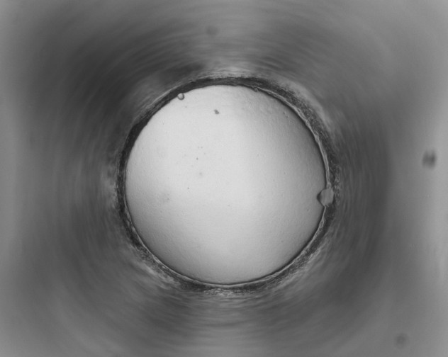 X0000097671217200803211935