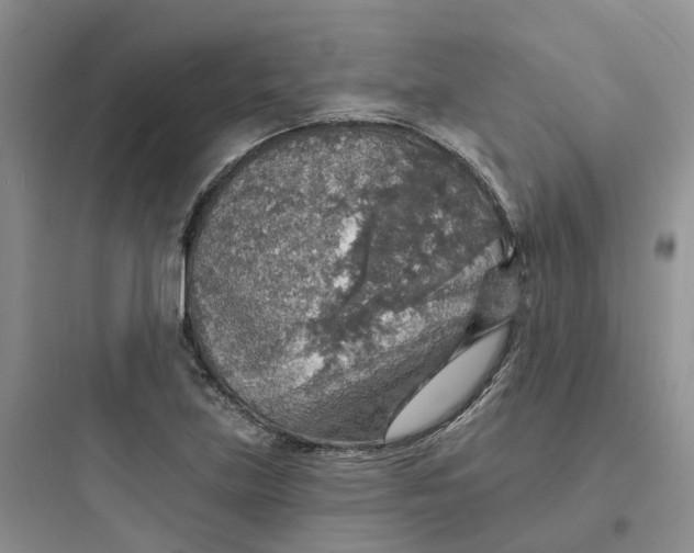 X0000097671219200803211935