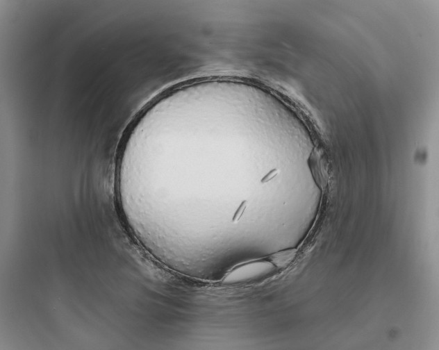 X0000097671220200803211935